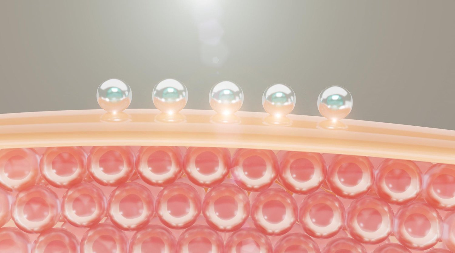 Illustration of skin layers and the dermal extracellular matrix